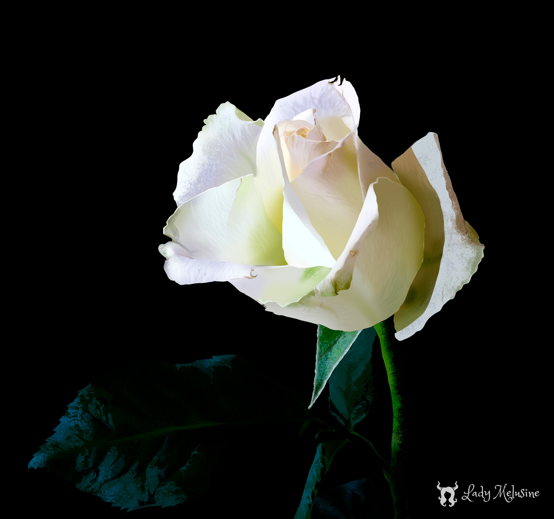 Digital Painting Rose blanche Lady Melusine