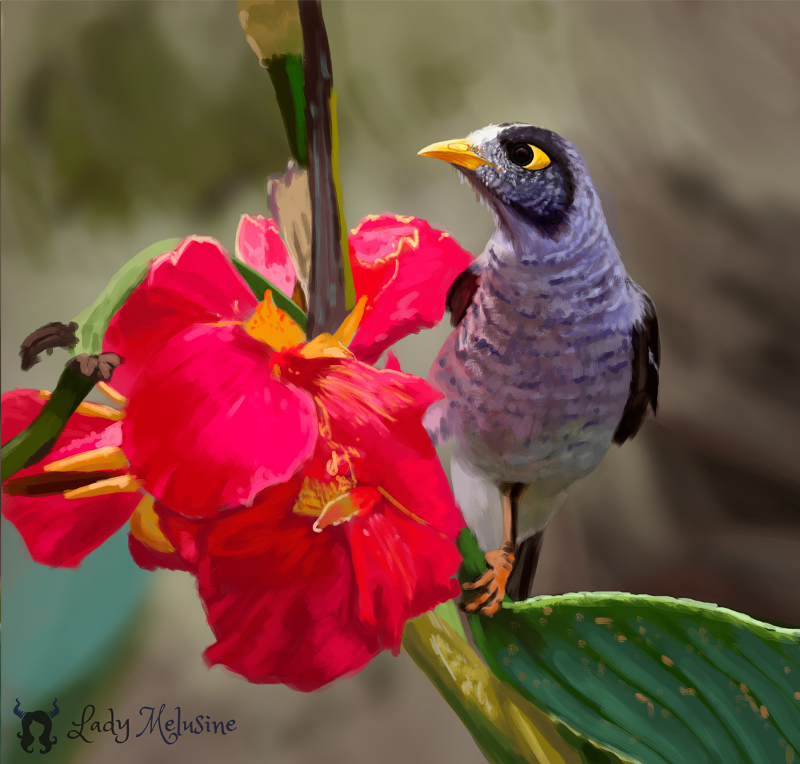 Digital Painting Oiseau tropical 02 Lady Melusine